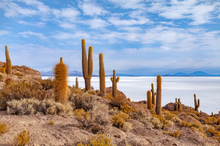 Bolivia unsplash