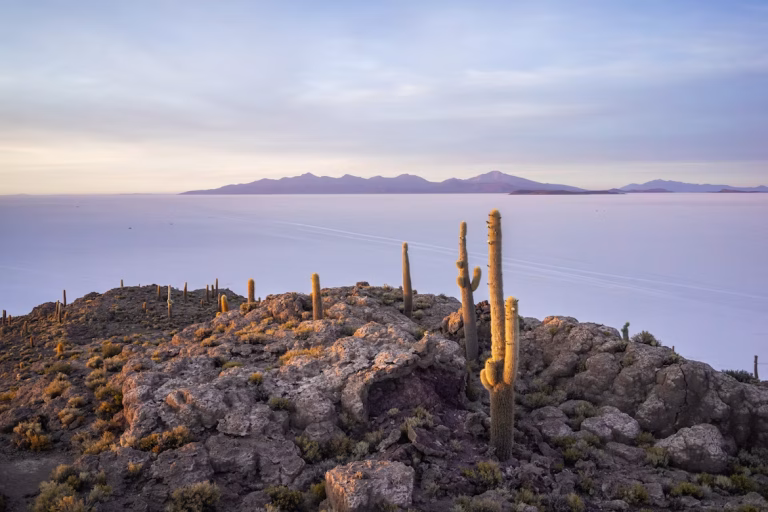 Bolivia unsplash