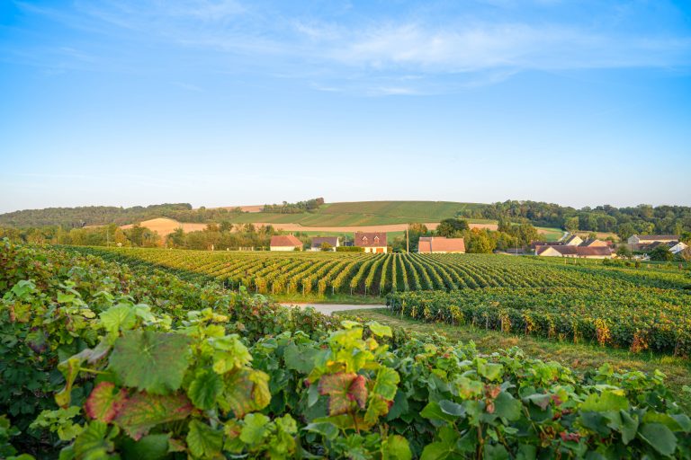 Champagne region