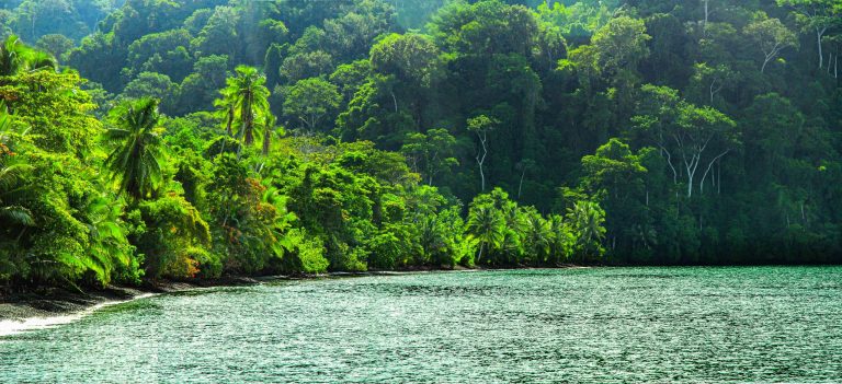 Corcovado national park
