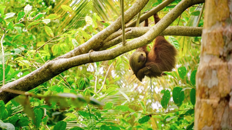Costa rica unsplash