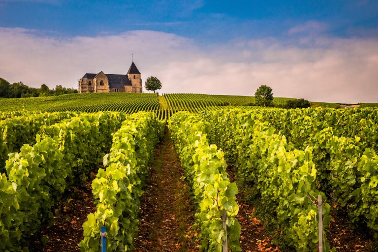 France unsplash