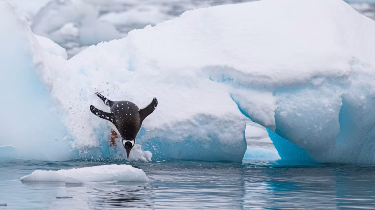 Antarctica unsplash