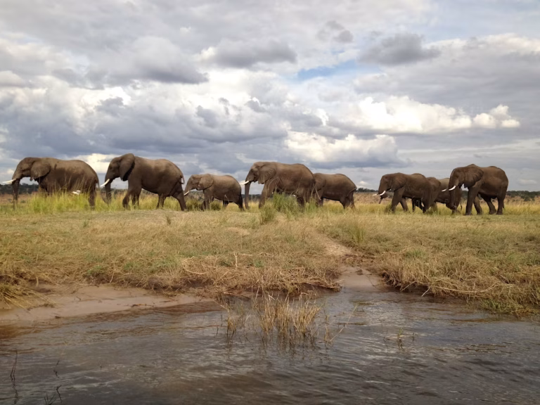 Botswana unsplash