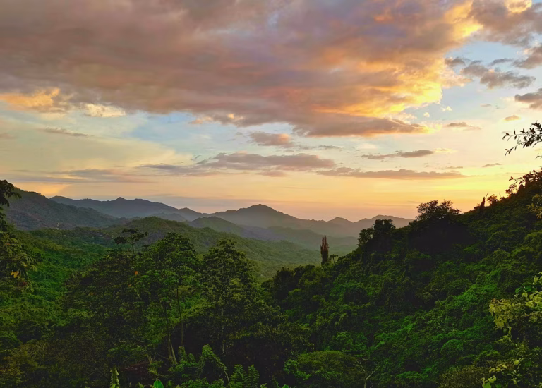 Colombia nature unsplash