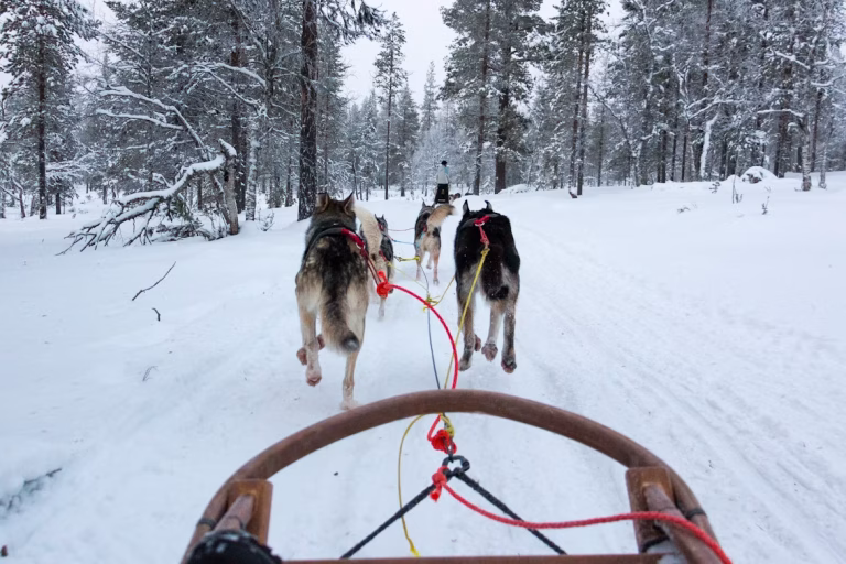 Finland unsplash