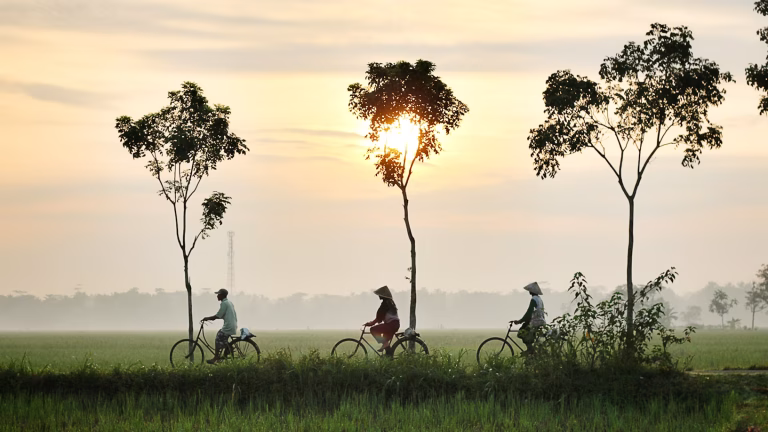 Indonesia unsplash