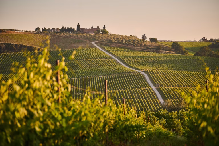Italy unsplash