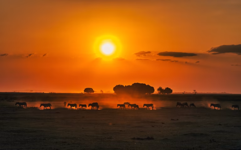 Kenya unsplash