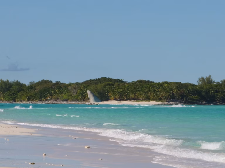 Madagascar unsplash