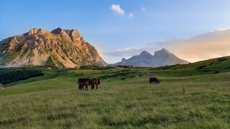 Montenegro unsplash