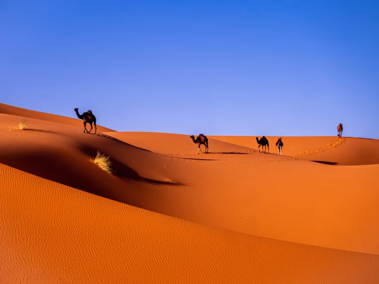 Morocco unsplash