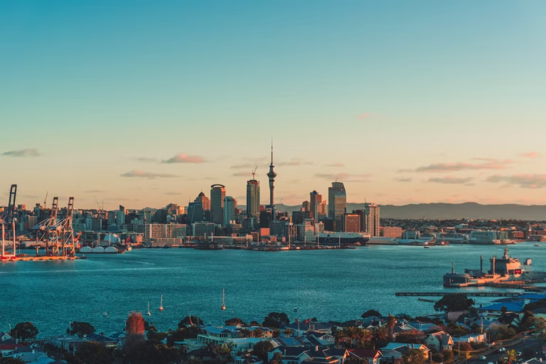 NZ unsplash