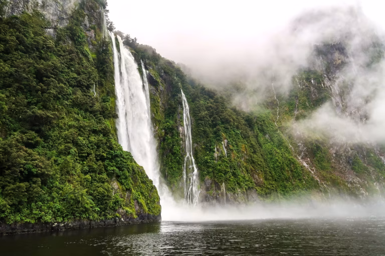 NZ unsplash