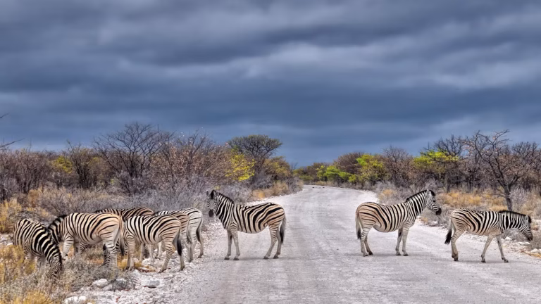 Namibia unsplash