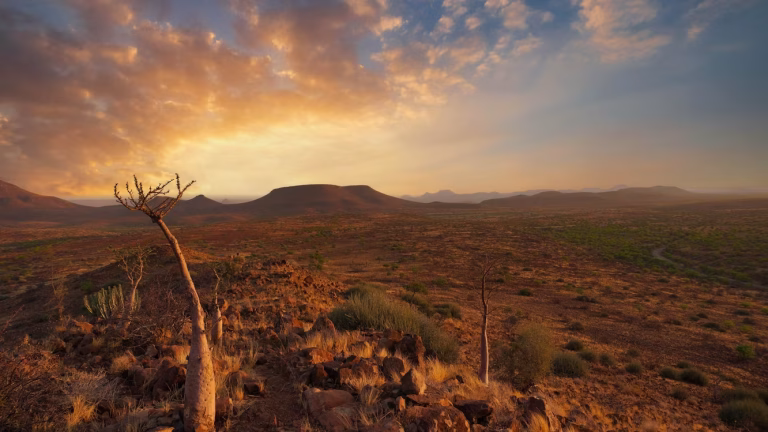 Namibia unsplash