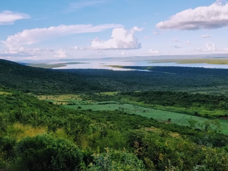 Rwanda unsplash
