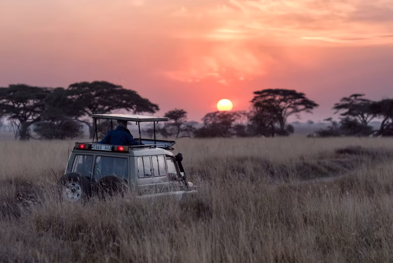 Tanzania unsplash