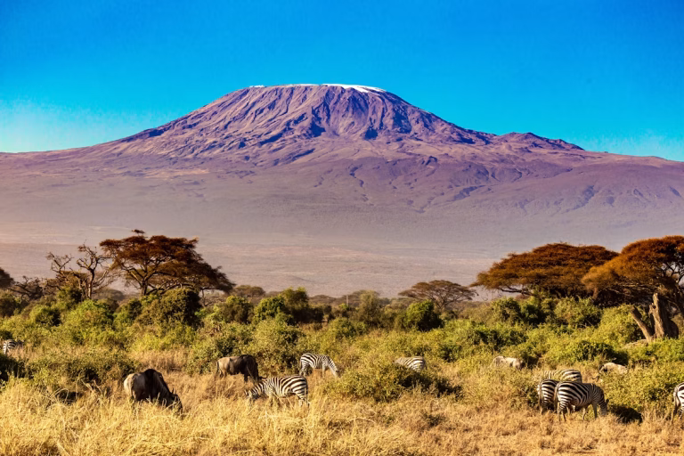 Tanzania unsplash