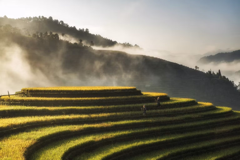 Vietnam unsplash