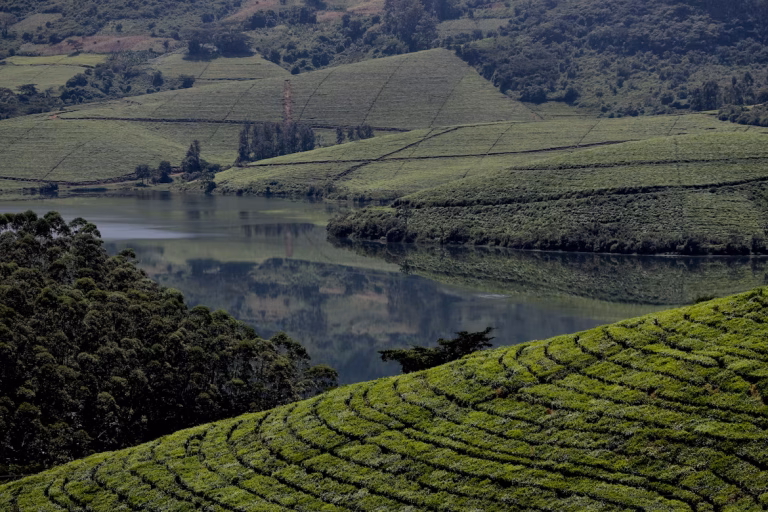 Zimbabwe unsplash