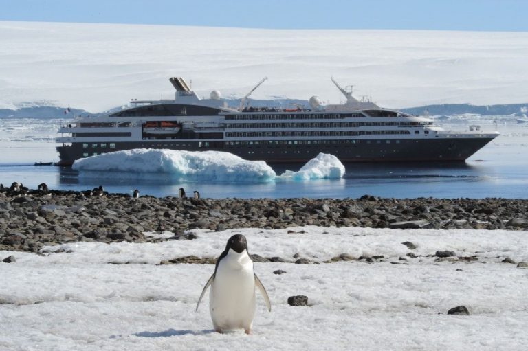 Shore Excursion Antarctica