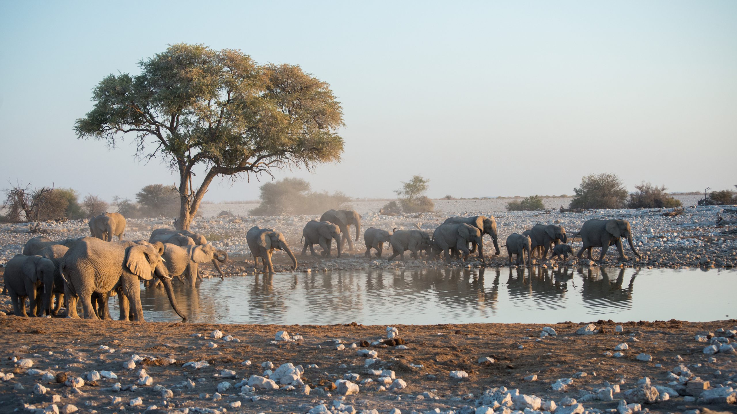Namibia - Quay Travel