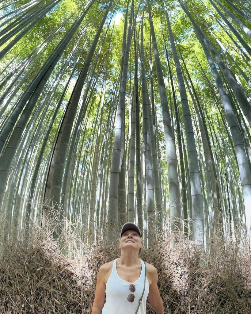 Bamboo Forest Kyoto Mm