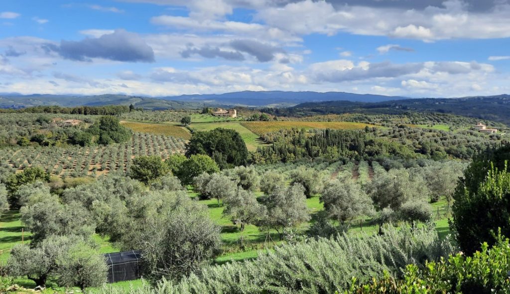 Como Del Nero Vinyards