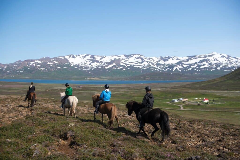 Deplar Farm Horse Riding 1