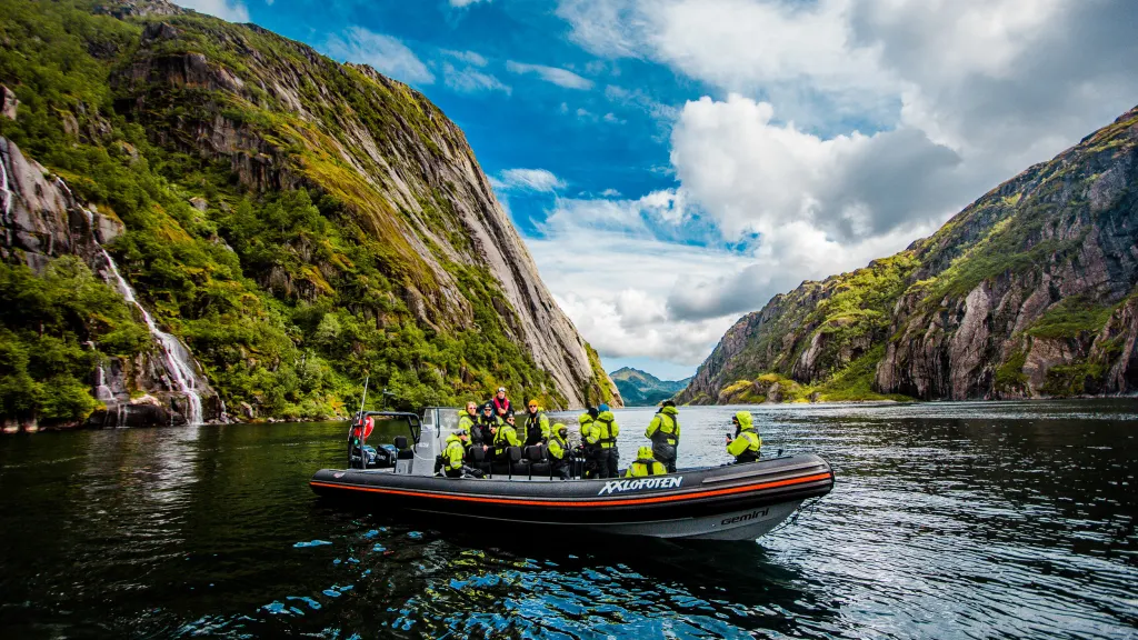 Sea Eagle Safari Norway