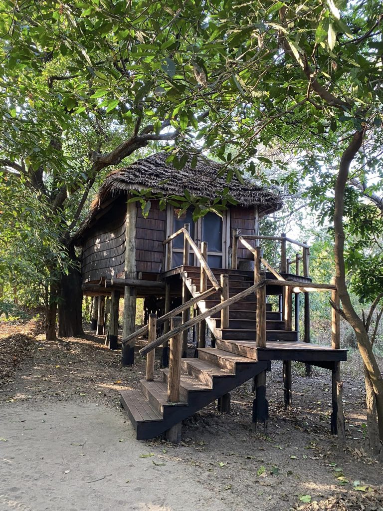 Beyond Lake Manyara Tree Lodge Tree House Accom