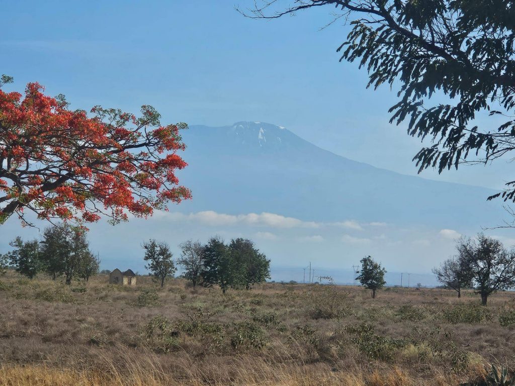 Grand Melia Hotel Arusha Views