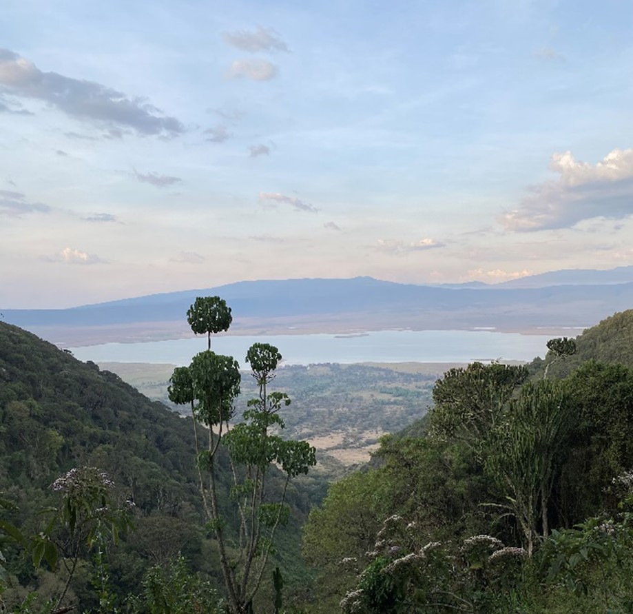 Ngorongoro Outlook Morning