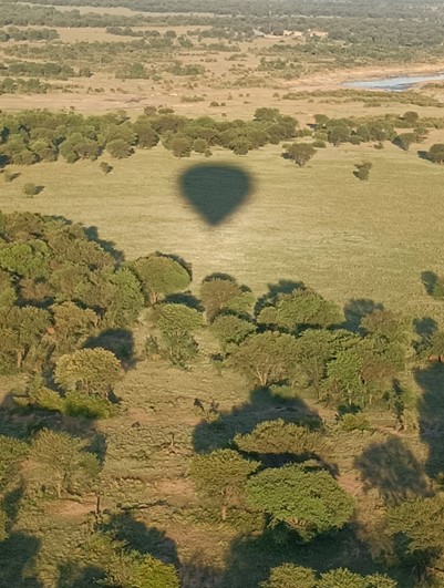 Serengeti Hot Air Balloon 1