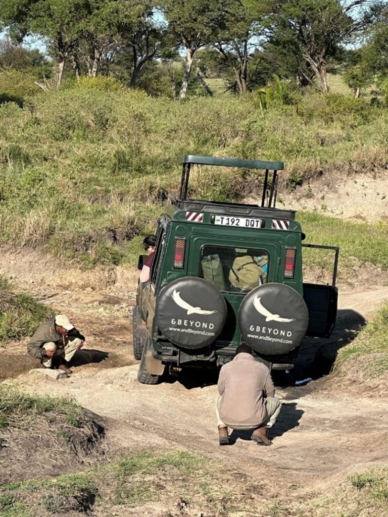 Serengeti Stuck Jeep 1