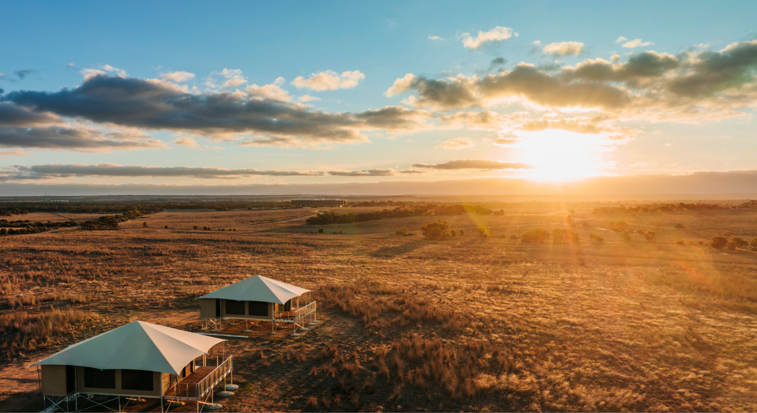 Monarto Safari Park Resort