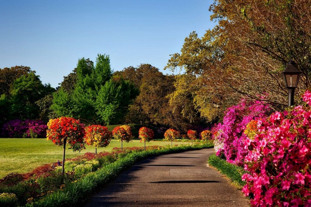 Botanica Tours 2