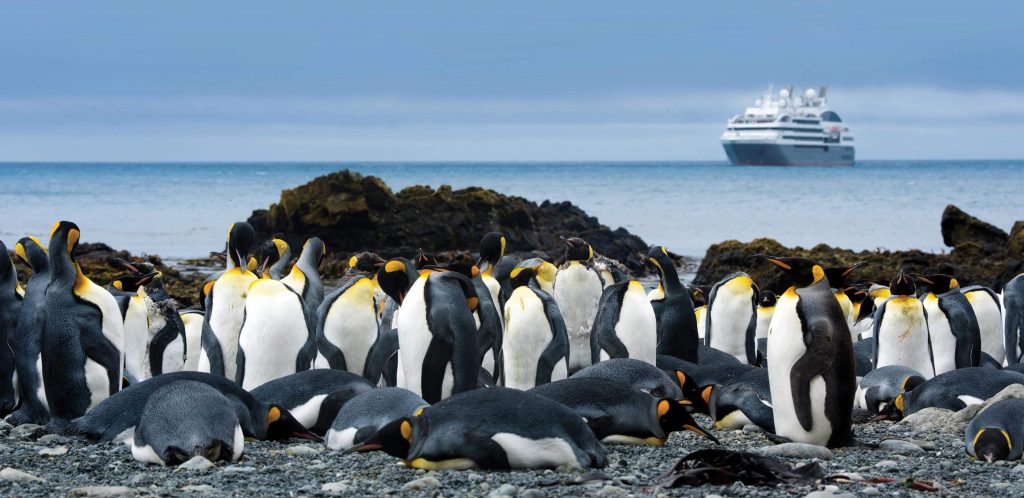 Ponant Subantarctic