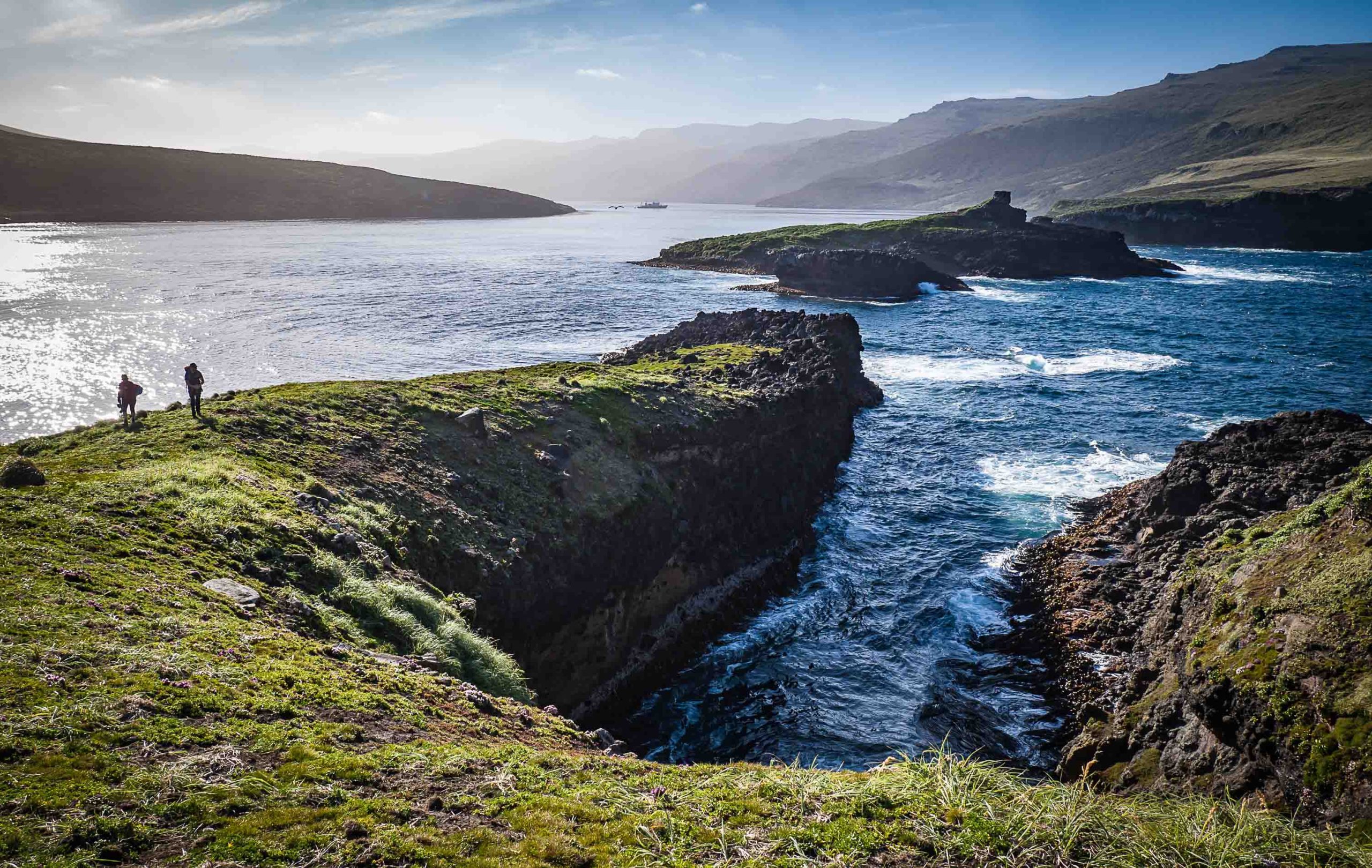 Subantarctic Islands 1