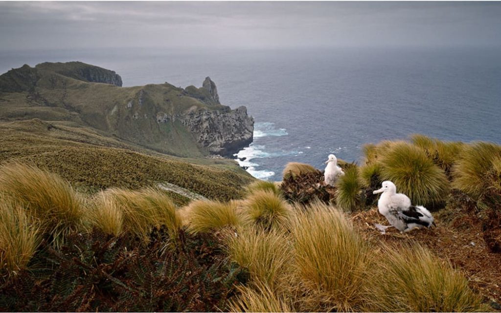 Sub antarctic isalnds