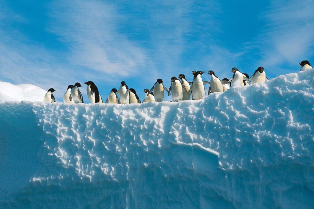 Antarctica
