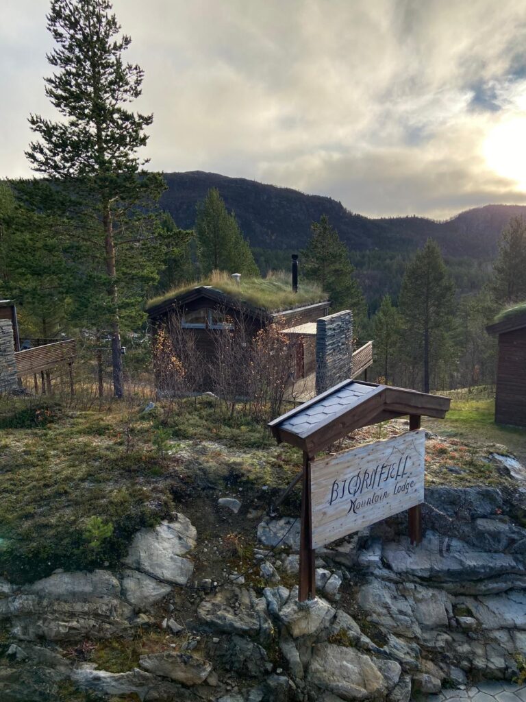 Bjornfjell
