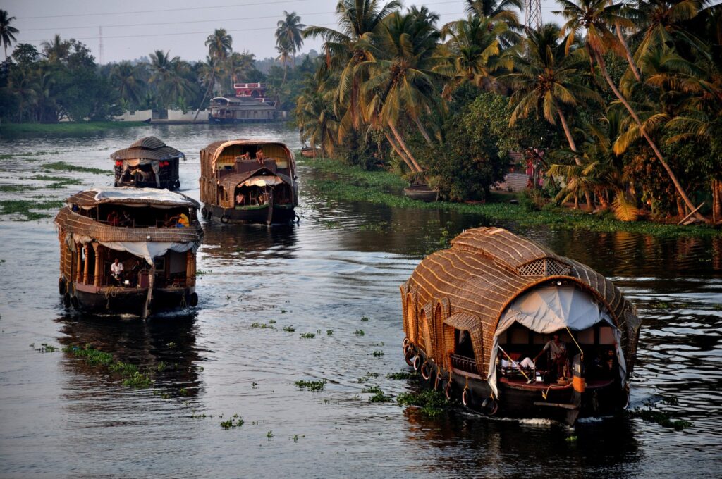 Peirce and Lesley India