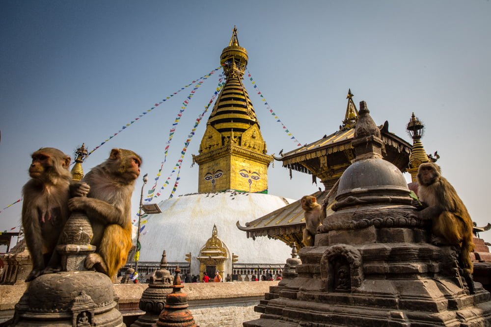 Peirce and Lesley Nepal