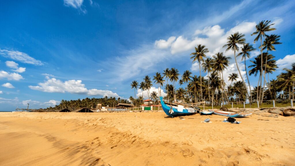 Peirce and Lesley Sri Lanka