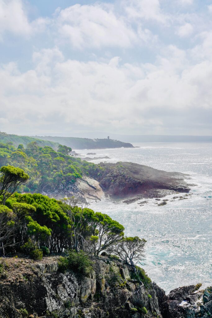 Regent Ben Boyd National Park 2026 04 01 00 40