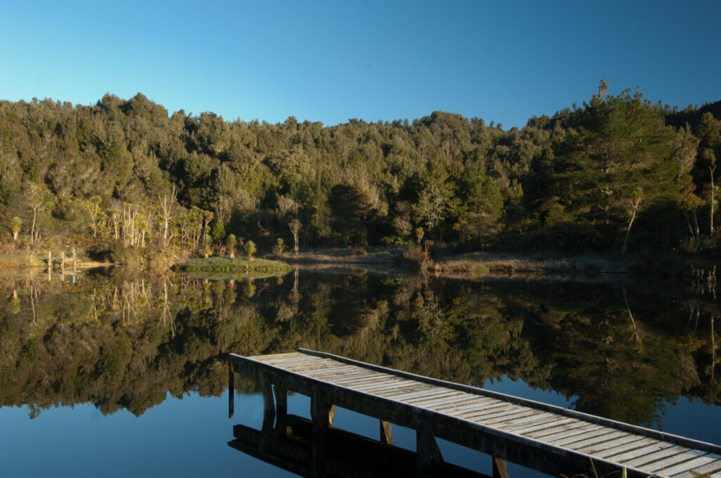 Treetops Lodges and Escapes