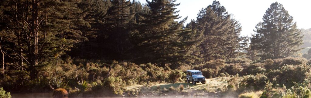 Treetops Lodges and Escapes activites