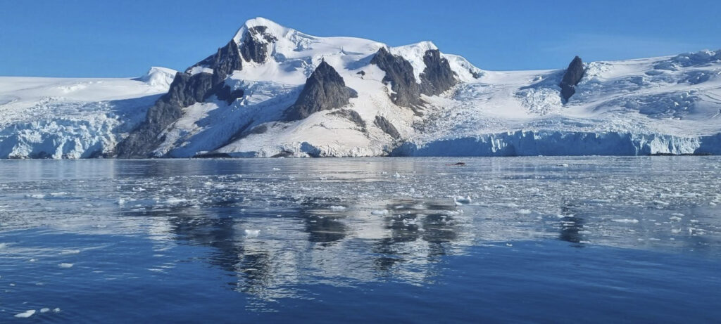 Donna Hill’s photo from the Le Boréal expedition cruise